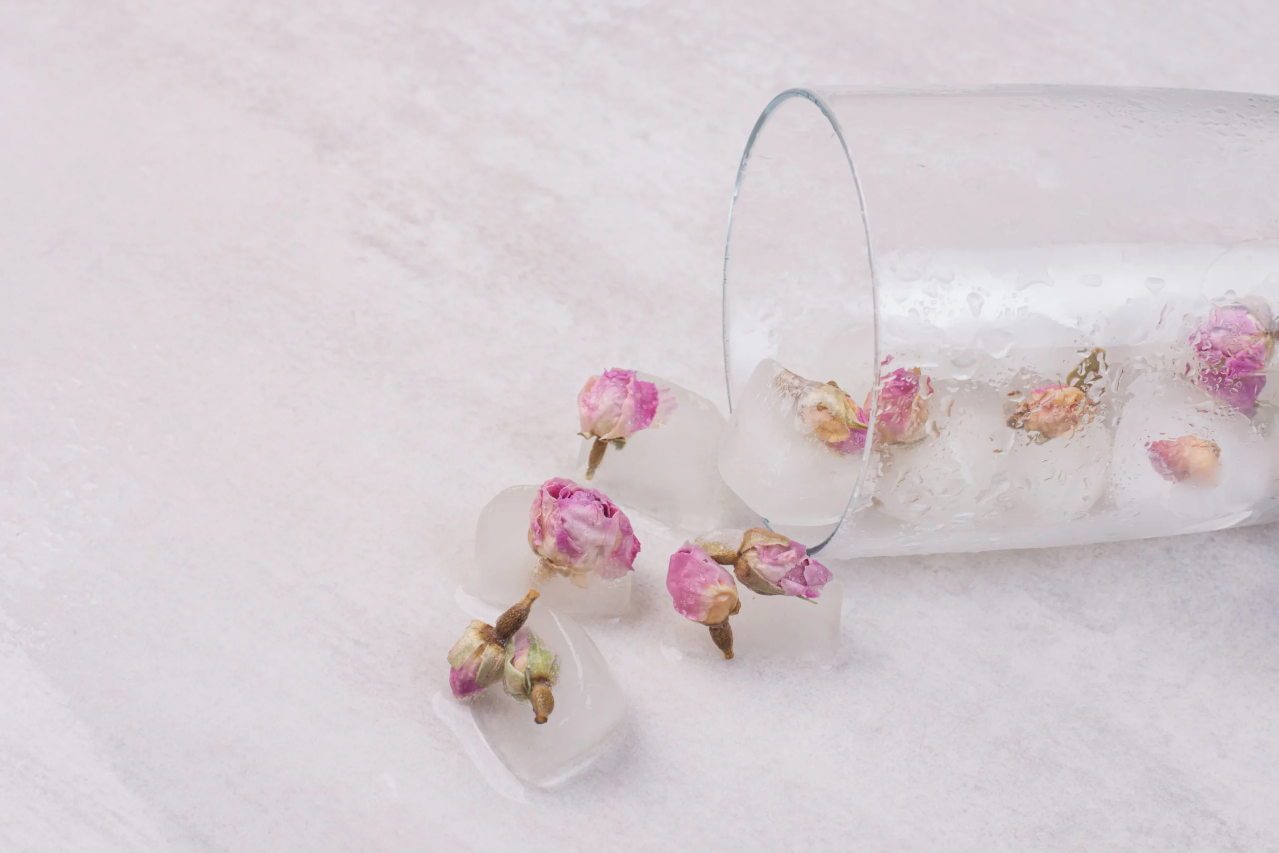 Rose Oud: The Timeless Pairing, And How To Wear It 2 flowers frozen ice cubes white surface scaled